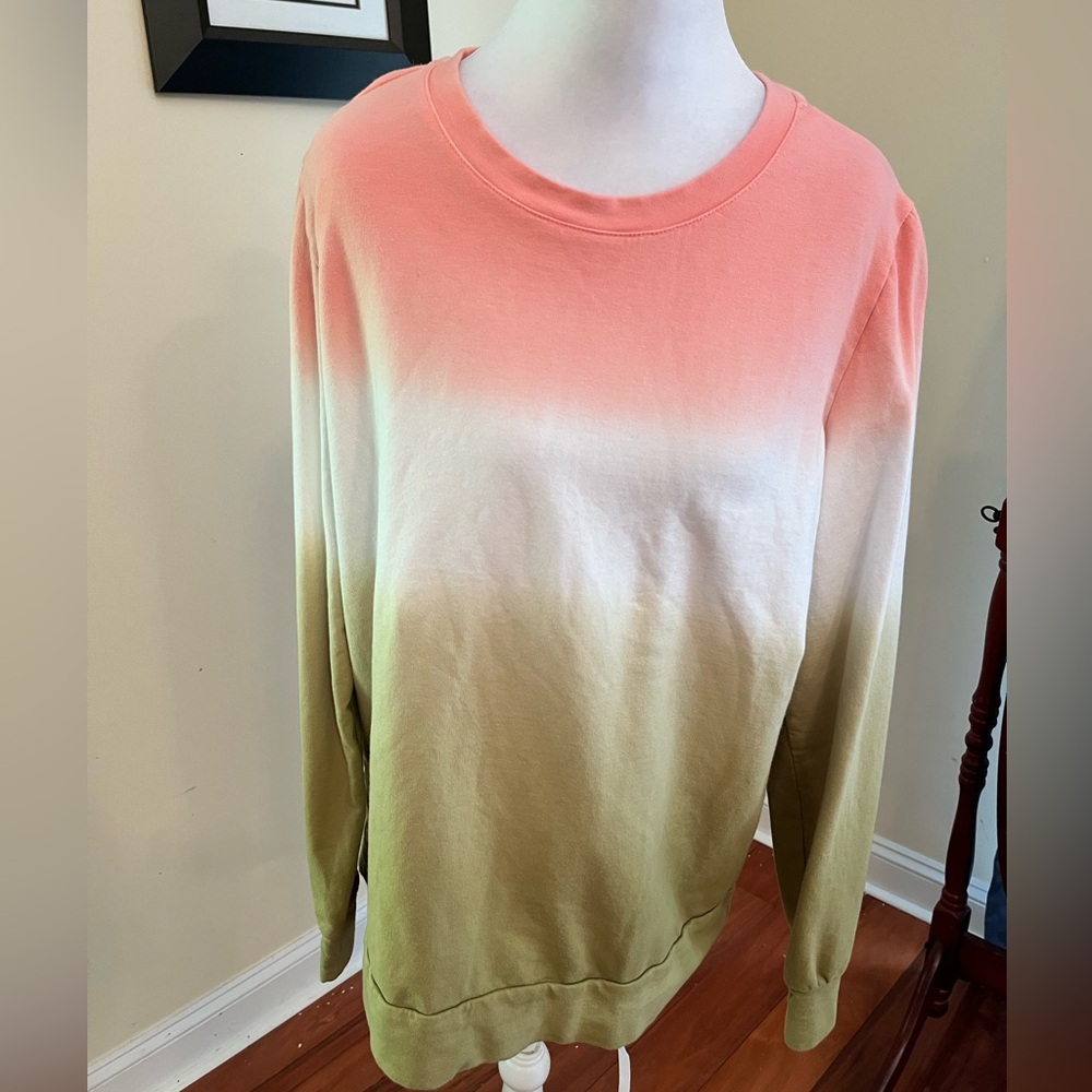 Jason Wu Color‎ Fade Sweatshirt